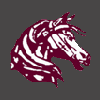St. Lazare Stallions